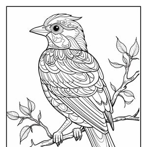 Best Selling Animal Mandalas 220 Pages Adult and Kid Coloring Pages Printable Digital Instant Download PDF Best Selling Item Most Popular