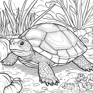 Best Selling 100 Turtles Coloring Pages Adult and Kid Coloring Pages Printable Digital Instant Download PDF Best Selling Popular
