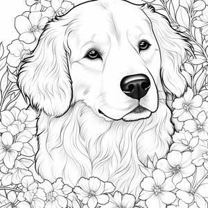May include: A black and white line drawing of a Golden Retriever dog's head with its ears flopped over its eyes. The dog is surrounded by flowers.