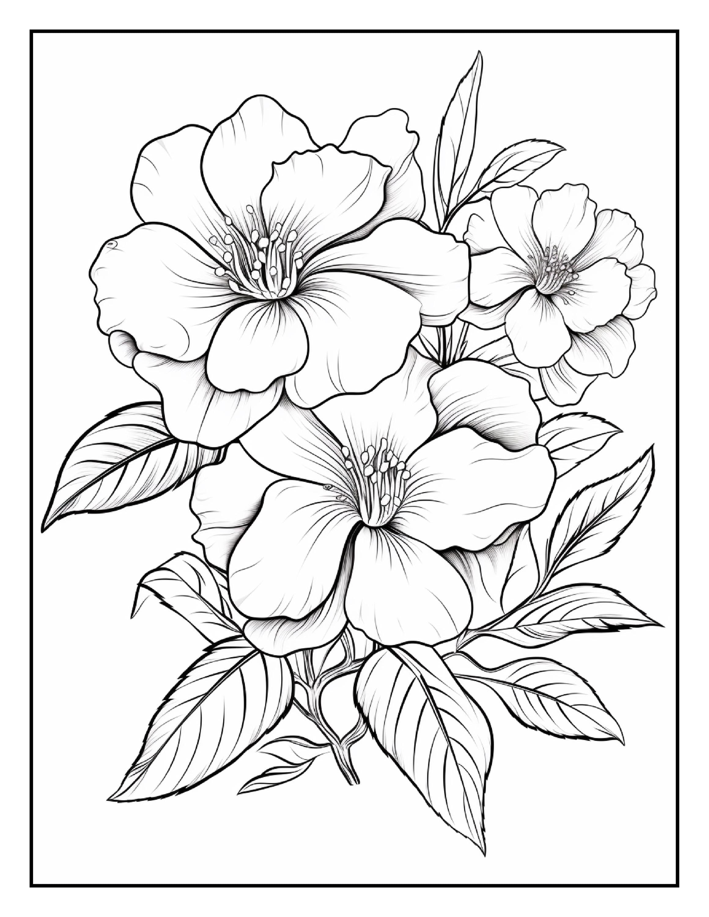Coloring Page of Tulips