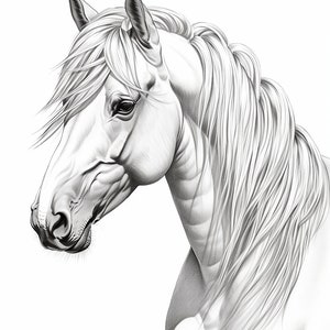 25 Realistic Horse Coloring Pages Adult and Kid Coloring Pages ...