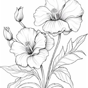 Best Seller 70 Flowers Coloring Pages for Kids & Adults Printable Digital Instant Download PDF Top Selling Item
