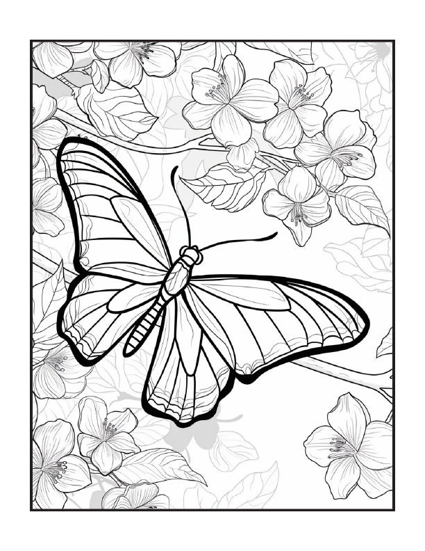 Libro da colorare Koala, Libri da colorare per adulti, Regali per gli amanti dei Koala, Mandala floreali da colorare, Libro da colorare con animali, Amanti dei libri - Italia