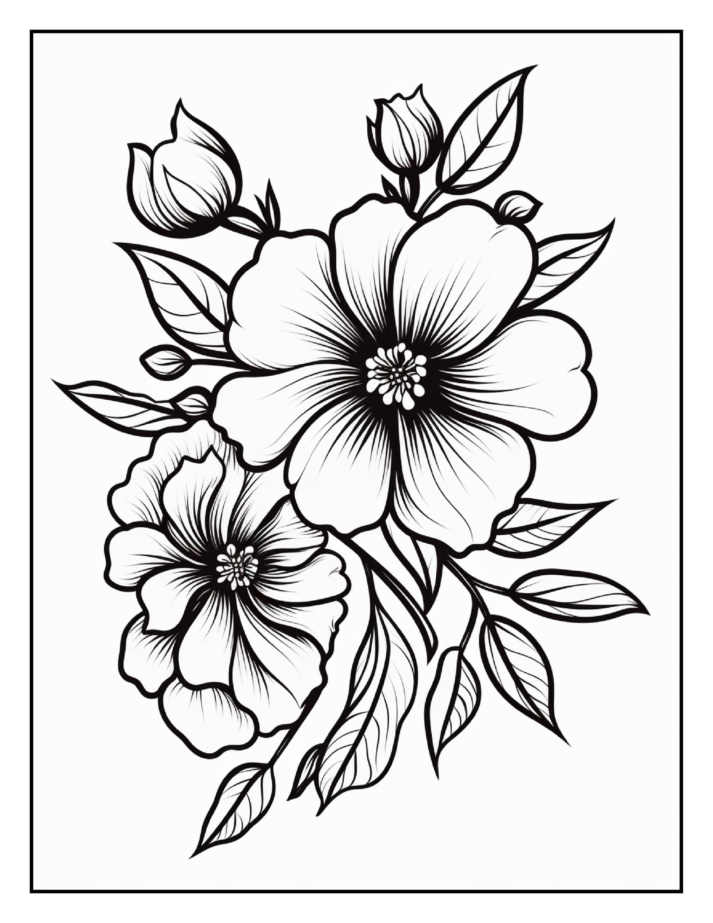 Daisy Flower Coloring Page