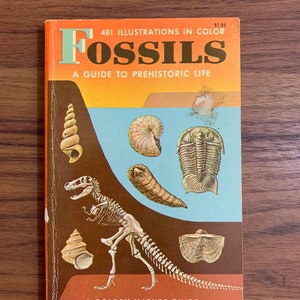 RedStoreVintage Presents Vintage 1962 Fossils a Guide to Prehistoric Life A Golden Nature Guide