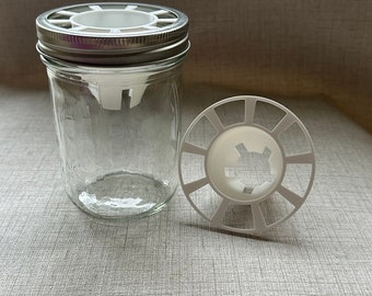 Kit de inicio de semillas y huesos de aguacate