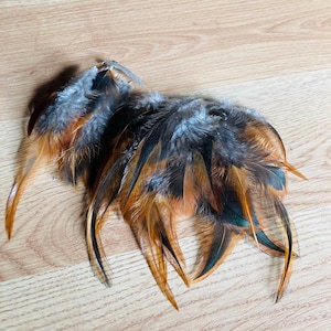 May include: A cluster of decorative feathers in shades of brown, orange, black, and gray. The feathers are arranged in a loose, organic shape, with long, slender tips. The feathers are likely for crafting or costume design.