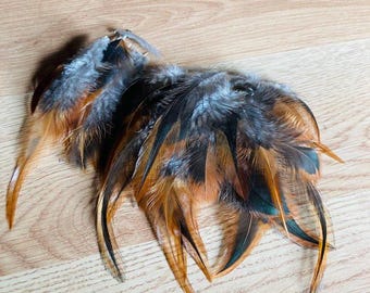 Cruelty free rooster feathers, 35 assorted, orange and black, natural, cruelty free, jewelry feathers, earring feathers,