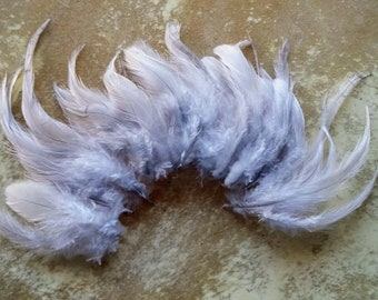 Cruelty free feathers, 35 dove grey rooster feathers, between 3 and 6 inches long,