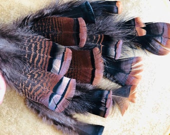 large bronze turkey tail feathers!  cruelty free!  13 long, iridescent feathers (5-10").    free range, all natural  feathers (m35)