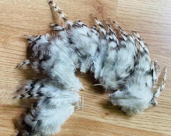 ethical feathers: 35 barred rooster feathers, black and white striped, assorted, natural, cruelty free,