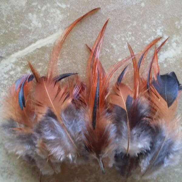 Cruelty free rooster feathers, 35 assorted, red with black feathers, natural, cruelty free, jewelry feathers, earring feathers,