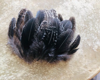 Cruelty free feathers - 15 "silver pheasant" secondary feathers, black and white speckled, free range chickens, quail like (s41)