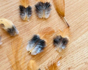 miniature feathers, around 45 small orange and black feathers, tiny, cruelty free! (s104)