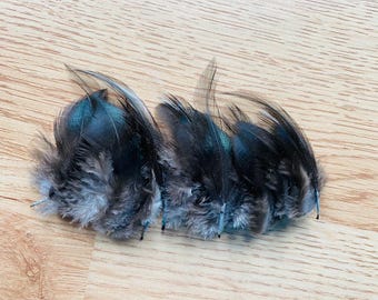 miniature feathers, 30 small black feathers, so cute, cruelty free! (s81)