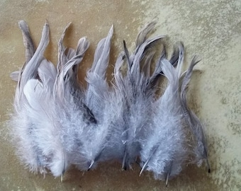 Cruelty free feathers, 25 grey rooster tail feathers, between 4.5 and 6 inches long, (s10)