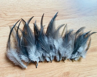 35 slate gray rooster feathers, between 3 and 6 inches long, ethically sourced