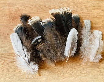 15 black turkey tail feathers!  cruelty free, large fluffy turkey feathers (5"-7") free range, all natural feathers (m29)