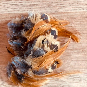 May include: A collection of decorative feathers in shades of brown, tan, and blue-gray. Some feathers have speckled patterns. The feathers are arranged on a light brown wooden surface.