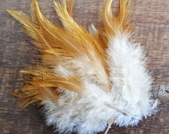 Cruelty free feathers - 25 perfect buff / gold feathers from a buff orpington rooster