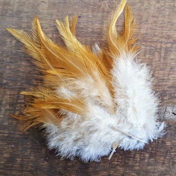 Cruelty Free Feathers 25 Perfect Buff / Gold Feathers From a Buff Orpington  Rooster 