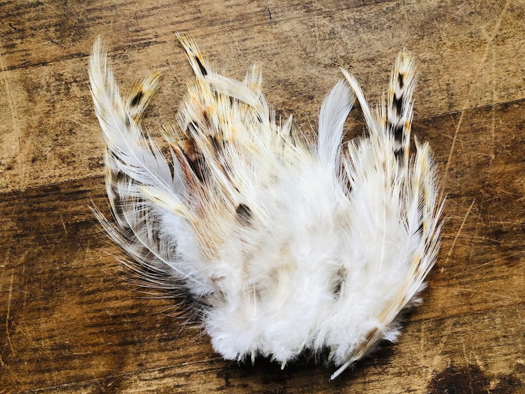 Ethical Feathers 25 White Confetti Rooster Feathers, White With Black