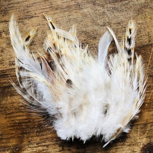 ethical feathers: 25 white confetti rooster feathers, white with black and red highlights, assorted, natural, cruelty free,