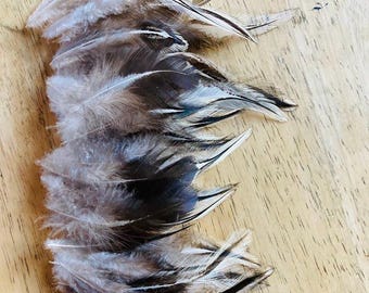 35 Silver laced feathers, black and white natural, cruelty free, craft feathers, Wyandotte,