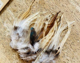 35 variety rooster feathers "party mix" cream, orange, gold, black and red, very nice, small farm, jewelry quality, cruelty free
