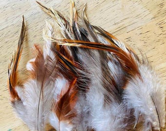 35 variety rooster feathers "appaloosa" cream, orange, gold, grey and red, long!