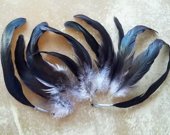 cruelty free feathers - 11 perfect, long shiny green rooster tail feathers, 5-6 inches long, shiny black (s62)