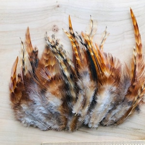 cruelty free feathers - 35 tiger striped reddish orange, white and black feathers from pasture raised chickens.  all natural, real feathers
