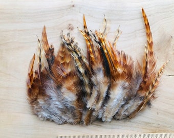 cruelty free feathers - 35 tiger striped reddish orange, white and black feathers from pasture raised chickens.  all natural, real feathers