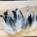 see more listings in the rooster tail feathers section