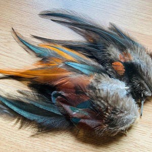 Cruelty free rooster feathers, 35 assorted, Black with red highlights, natural, cruelty free, jewelry feathers, earring feathers, fascinator