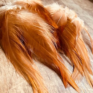 35 perfect orange feathers from a free range rooster, cruelty free feathers