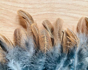 20 speckled partridge patterned tail feathers from a domestic chicken, cruelty free feathers (s106)