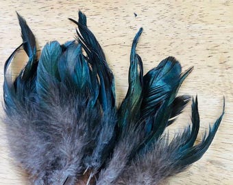 cruelty free feathers - 17  long shiny green rooster tail feathers, 5-6 inches long, shiny black (s42)