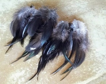 Cruelty free rooster feathers, 35 assorted, Black feathers with a few tiny white spots, natural, jewelry feathers, earring feathers,