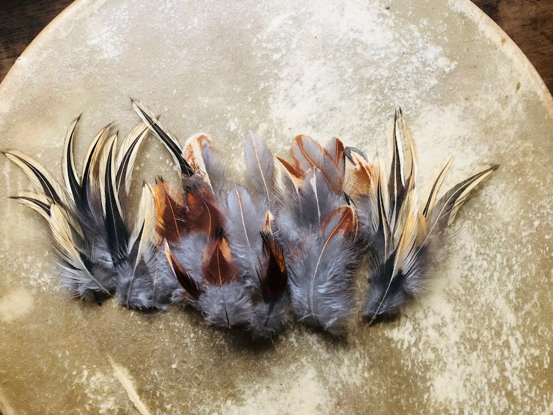 Cruelty Free Feathers 30 Dark Gray Calico Rooster Feathers With Gold