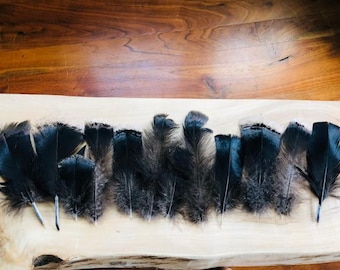 12 iridescent black turkey feathers, 5-7 inches long, free range, all natural feathers!