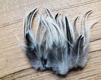 ethical feathers: super nice Delaware rooster feathers, 35 assorted, natural, cruelty free, feathers for earrings