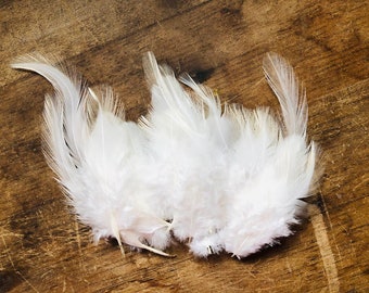 ethical feathers: white rooster feathers, 35 assorted, natural, cruelty free, heritage breed chicken, craft feathers, cruelty free feathers