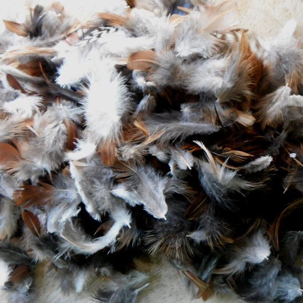 Cruelty free craft feathers - 1/2 ounce of craft feathers, soft and fluffy in a variety of colors from free range chickens