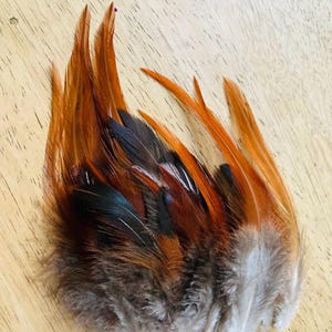 35 red with black feathers, natural, cruelty free, jewelry feathers, earring feathers,