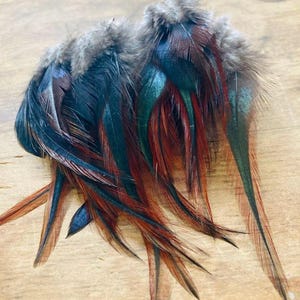 35 piume vere provenienti da fonti sostenibili, piume di gallo nere con riflessi rossi "lingua di drago", biologiche, cruelty-free, naturali