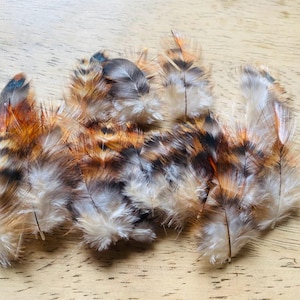 May include: A collection of decorative feathers in shades of brown, orange, and white. The feathers have a soft, fluffy texture and are arranged on a light-colored wooden surface. These feathers are suitable for craft projects.