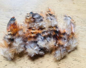 miniature feathers, around 35 small orange and black striped feathers, tiny, cruelty free! (s7)