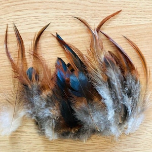 May include: A collection of decorative feathers in shades of brown, gray, and blue. The feathers have a natural, textured appearance, with varying lengths and shapes. Some feathers have a glossy sheen, while others are soft and fluffy.
