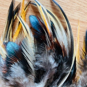 35 sunburst feathers, multicolored, 2'-6", natural, cruelty free, jewelry feathers, earring feathers,